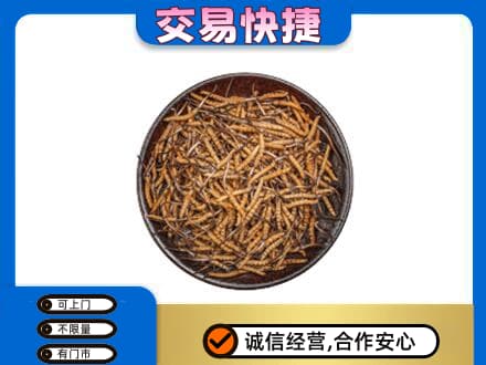 保定市高碑店高价回收散虫草